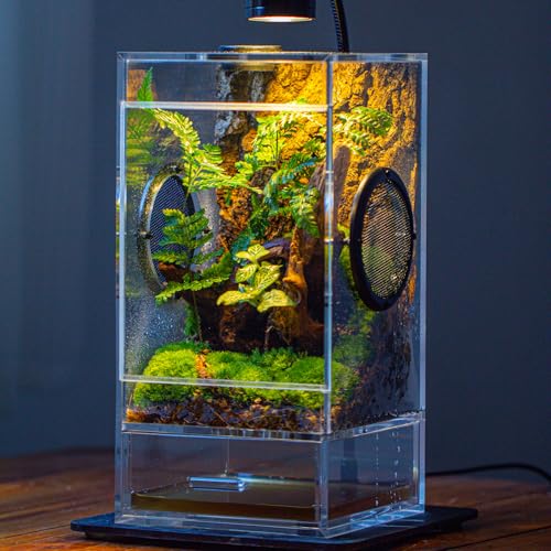 crapelles Rechteckiges geschlossenes Insektengehege aus Acryl mit Drainageboden und Schublade, Terrarienbox mit Netzschlitzen, Futterloch für Spinnen, kleine Insekten, Pflanzen (Dekore ausgeschlossen) crapelles Rechteckiges geschlossenes Insektengehege aus Acryl mit Drainageboden und Schublade, Terrarienbox mit Netzschlitzen, Futterloch für Spinnen, kleine Insekten, Pflanzen (Dekore ausgeschlossen) von crapelles