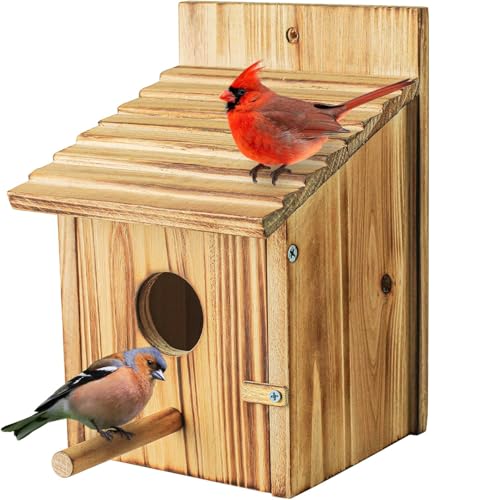 Vogelhaus für Garten, hängendes Vogelhaus aus Holz für kleine Wildvögel, Vogelbox für Spottdrosseln, Kolibris, Papageien, Blauvögel Vogelhaus für Garten, hängendes Vogelhaus aus Holz für kleine Wildvögel, Vogelbox für Spottdrosseln, Kolibris, Papageien, Blauvögel von crayfomo