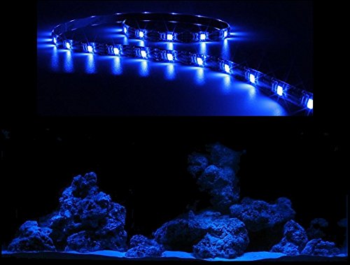 Creative Lights Aquarium Mondlicht, LED LICHTLEISTE 60 cm Flexi-Slim BLAU Komplettset von creative lights - Licht & Design