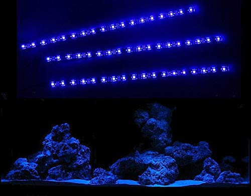 creative lights - Licht & Design Aquarium Mondlicht 3 x 30 cm LED LICHTLEISTE Komplettset INKL. NETZTEIL Flexi-Slim BLAU von creative lights - Licht & Design
