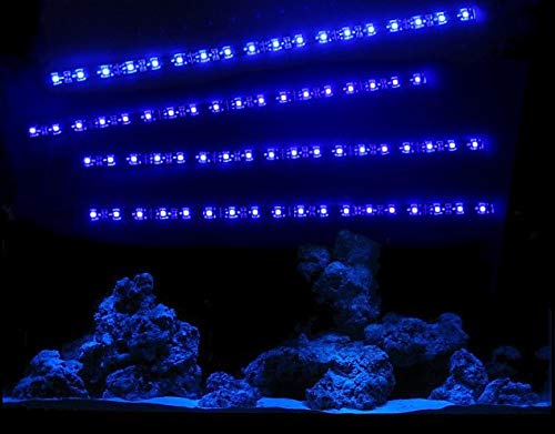 creative lights - Licht & Design Aquarium Mondlicht 4 x 30 cm LED LICHTLEISTE Komplettset INKL. NETZTEIL Flexi-Slim BLAU von creative lights - Licht & Design