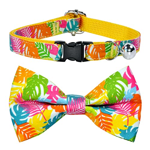 Katzen-Fliege, Halsband mit Glocke, farbiges Palmblatt-Muster, hellgrüner Hintergrund, Abreißsicherheit, Kunststoff-Schnalle, Halsband für Katzen von csspet
