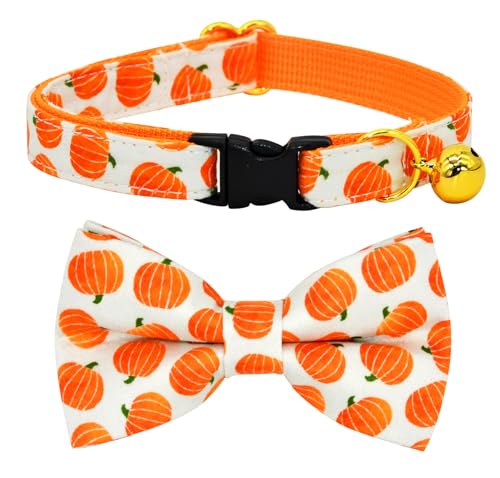 Katzenhalsband-Schleife-Set, Halloween, orangefarbener Kürbis, Hochzeit/Geburtstag, Breakaway-Halsband mit Fliege für Kätzchen/Katze Katzenhalsband-Schleife-Set, Halloween, orangefarbener Kürbis, Hochzeit/Geburtstag, Breakaway-Halsband mit Fliege für Kätzchen/Katze von csspet