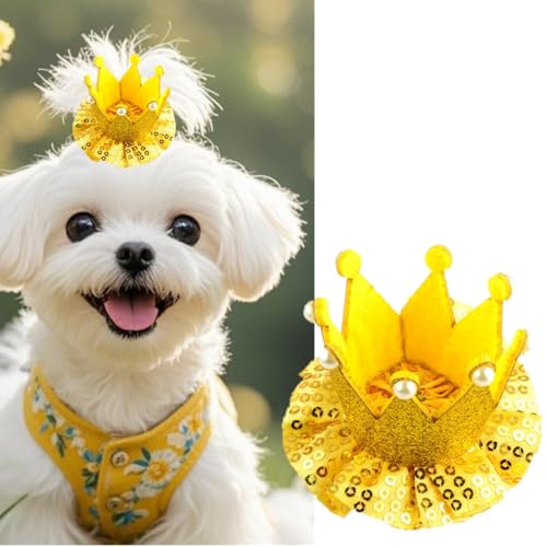 1 x Hundehaar-Accessoire, Schleife, Pailletten-Krone, Haarspange für Hunde, Katzen, Haustiere, Geburtstagsgeschenk, Teddy, Yorkie, Malteser, Hundepflege, Party, 10 Farben zur Auswahl, Rot 1 x Hundehaar-Accessoire, Schleife, Pailletten-Krone, Haarspange für Hunde, Katzen, Haustiere, Geburtstagsgeschenk, Teddy, Yorkie, Malteser, Hundepflege, Party, 10 Farben zur Auswahl, Rot von cuhair