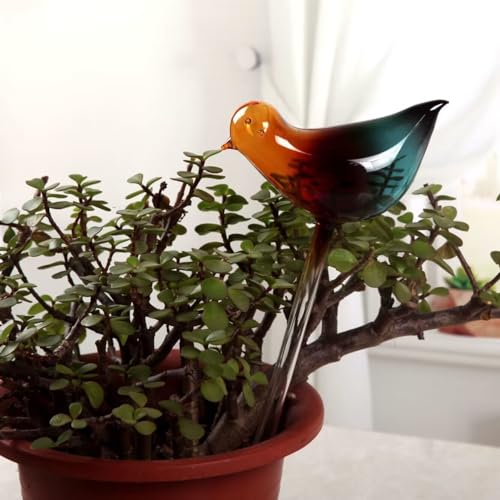 Farbiges Glas Vogel Ball Liebe Faule Person Kreative Wasser Infiltration Tropf Bewässerung Home Automatische Blume Bewässerung Gott Werkzeug Büro Reise Zuhause Farbiges Glas Vogel Ball Liebe Faule Person Kreative Wasser Infiltration Tropf Bewässerung Home Automatische Blume Bewässerung Gott Werkzeug Büro Reise Zuhause von cuhair