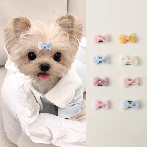 Haarschmuck für kleine Hunde, Schleife mit BB-Haarspange, für Welpen, Kätzchen, Hunde, Katzen, Teddy, Yorkshire Terrier, Malteser, 8 Stück von cuhair