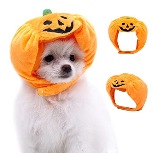 Halloween-Haarschmuck für Haustiere, Kürbishut, für Katzen und Hunde, Größe S (< 10 kg) von cuhair