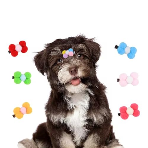 cuhair 7 Stück Pompoms Ball Blume mit Gummiband für Topknot Bögen Styling für Welpen Yorkshire Teddy weiblich cuhair 7 Stück Pompoms Ball Blume mit Gummiband für Topknot Bögen Styling für Welpen Yorkshire Teddy weiblich von cuhair