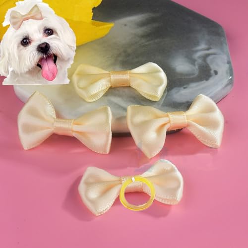 cuhair Haargummis für kleine Hunde, Schleife mit Gummiband für Hunde, Katzen, Haustiere, Welpen, Yorkshire, Malteser, Hundehaar-Accessoires, Schleife, Fellpflegeprodukte, Beige, 5 Stück cuhair Haargummis für kleine Hunde, Schleife mit Gummiband für Hunde, Katzen, Haustiere, Welpen, Yorkshire, Malteser, Hundehaar-Accessoires, Schleife, Fellpflegeprodukte, Beige, 5 Stück von cuhair