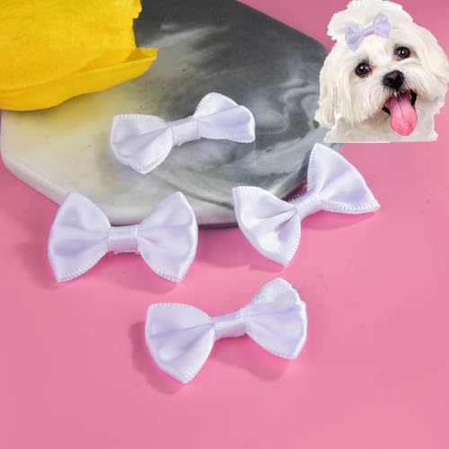 cuhair Haargummis für kleine Hunde, Schleife mit Gummiband für Hunde, Katzen, Haustiere, Welpen, Yorkshire, Malteser, Hundehaar-Accessoires, Schleife, Fellpflegeprodukte, Weiß, 5 Stück von cuhair