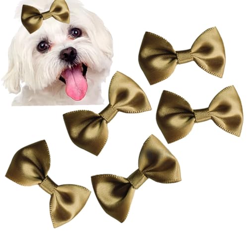 cuhair Haargummis für kleine Hunde, Schleife mit Gummiband für Hunde, Katzen, Haustiere, Welpen, Yorkshire, Malteser, Hundehaar-Accessoires, Schleife, Fellpflegeprodukte, goldfarben, 5 Stück von cuhair