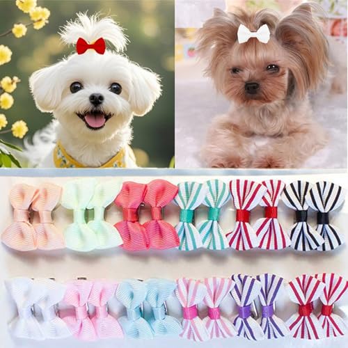 cuhair Haarschleifen für Hunde, klein, handgefertigt, Haar-Accessoires, Schleife, für Hunde, Katzen, Kätzchen, Kaninchen, Teddy, Pudel, Yorkshire, Malteser, Fellpflege-Zubehör (F), 24 Stück von cuhair