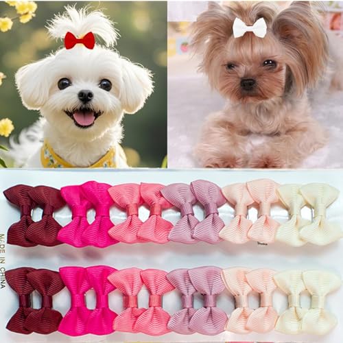 cuhair Haarschleifen für Hunde, klein, handgefertigt, Haar-Accessoires, Schleife, für Hunde, Katzen, Kätzchen, Kaninchen, Teddy, Pudel, Yorkshire, Malteser, Hundepflege-Zubehör, 24 Stück (B) von cuhair