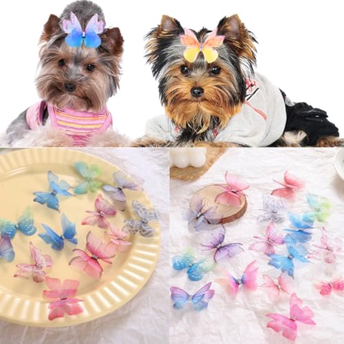 cuhair Haarschmuck für Hunde, verschiedene Farben, 20 Stück, transparente Gaze-Schmetterlinge mit Metallclip für Hunde, Shaggy-Hunde, Yorkie-Hunde, Malteser-Hunde, Teddy, Haar-Accessoires, cuhair Haarschmuck für Hunde, verschiedene Farben, 20 Stück, transparente Gaze-Schmetterlinge mit Metallclip für Hunde, Shaggy-Hunde, Yorkie-Hunde, Malteser-Hunde, Teddy, Haar-Accessoires, von cuhair