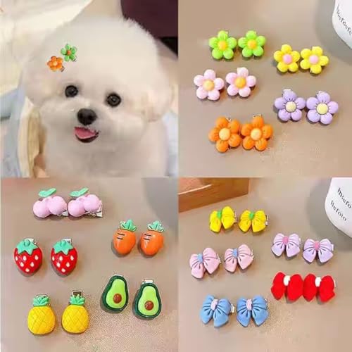 cuhair Haarschmuck für kleine Hunde, niedliches Cartoon-Design mit Metallclip für Mädchen, Welpen, Teddy, Malteser, Yorkshire, Langhaar, zotteliger Hund, 10 Stück (E) von cuhair