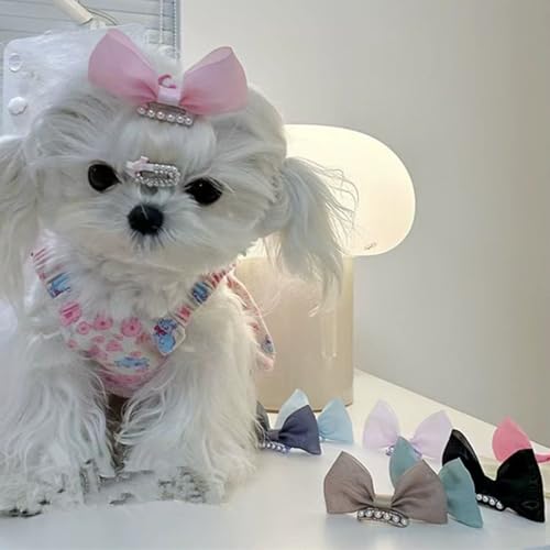 cuhair Hundehaar-Accessoires, solide Schleife, Perle mit Haarspange für Hunde, Katzen, Haustiere, Yorkie, Malteser, Teddy, Kurz- oder Langhaar, 20 Stück cuhair Hundehaar-Accessoires, solide Schleife, Perle mit Haarspange für Hunde, Katzen, Haustiere, Yorkie, Malteser, Teddy, Kurz- oder Langhaar, 20 Stück von cuhair
