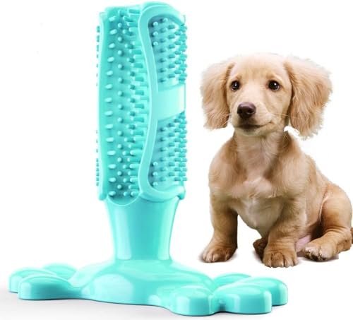 cutecool Hundekauspielzeug zum Zähneputzen und Spielen, langlebiges Naturkauspielzeug für intensives Kauen (mintgrün, leise) von cutecool