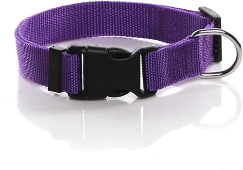 cutecool Nylon Hundehalsband, verstellbares Hundehalsband, geeignet für mittlere bis große Hunde, 1 Zoll breit (lila) von cutecool