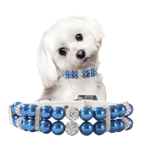 Blue Pearl Hundehalsband, glitzerndes Hundehalsband für kleine Hunde, Diamant-Katzenhalsband, Halskette, Halsband, Strass, luxuriöses Perlenhalsband für XXS, XS, S, M, Haustier, Kätzchen, XXS Blue Pearl Hundehalsband, glitzerndes Hundehalsband für kleine Hunde, Diamant-Katzenhalsband, Halskette, Halsband, Strass, luxuriöses Perlenhalsband für XXS, XS, S, M, Haustier, Kätzchen, XXS von cyhaen