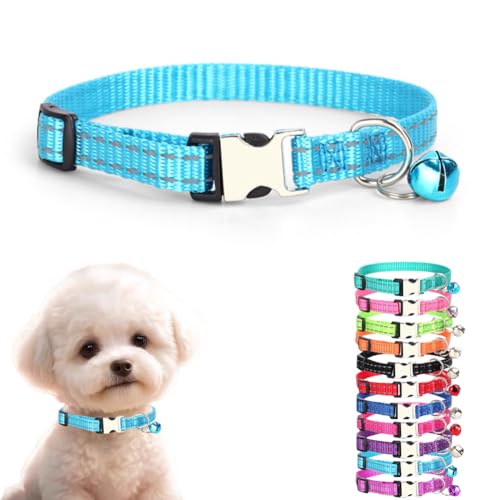 Extra kleines Hundehalsband mit Glöckchen, reflektierende Nylon-Metallschnalle, Schnellverschluss, Welpenhalsbänder für kleine Haustiere, männliche Hunde, Katzen, Kätzchen, Tier, Hellblau, XS Extra kleines Hundehalsband mit Glöckchen, reflektierende Nylon-Metallschnalle, Schnellverschluss, Welpenhalsbänder für kleine Haustiere, männliche Hunde, Katzen, Kätzchen, Tier, Hellblau, XS von cyhaen