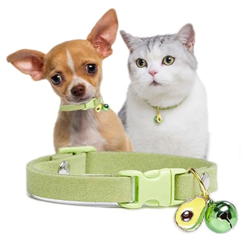 Grünes XXS Hundehalsband mit Glöckchen, hübsch, weich, für Kätzchen, Jungen, Welpen, mit Glöckchen, für XXS, XS, kleine Haustiere, männliche kleine Hunde, Katzen, Tier, Größe XXS Grünes XXS Hundehalsband mit Glöckchen, hübsch, weich, für Kätzchen, Jungen, Welpen, mit Glöckchen, für XXS, XS, kleine Haustiere, männliche kleine Hunde, Katzen, Tier, Größe XXS von cyhaen
