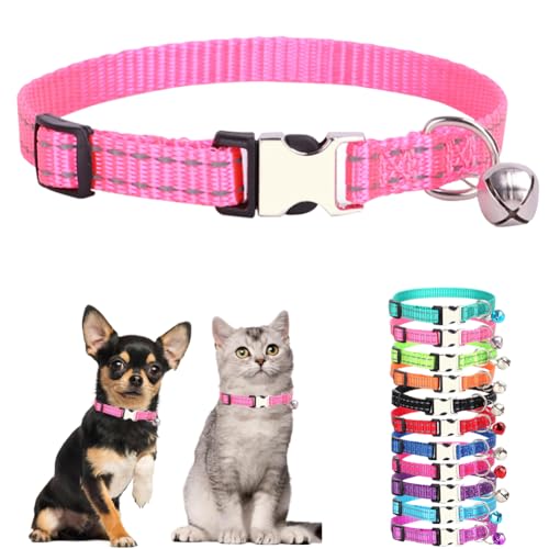 Hundehalsbänder für kleine Welpen, reflektierendes Nylon, Metallschnalle, Katzenhalsbänder mit Glöckchen für kleine Haustiere, Hündinnen, Mädchen, Kätzchen, Kleintiere, Hot Pink, XS Hundehalsbänder für kleine Welpen, reflektierendes Nylon, Metallschnalle, Katzenhalsbänder mit Glöckchen für kleine Haustiere, Hündinnen, Mädchen, Kätzchen, Kleintiere, Hot Pink, XS von cyhaen