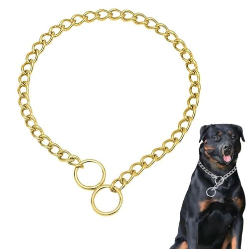 Hundehalsbänder für mittelgroße Hunde, schwere Kette, Metall-Trainingshalsbänder, verstellbare Metallkette, Martingal-Welpenhalsbänder für XXS, XS, S, M, L, XL, Silber, M Hundehalsbänder für mittelgroße Hunde, schwere Kette, Metall-Trainingshalsbänder, verstellbare Metallkette, Martingal-Welpenhalsbänder für XXS, XS, S, M, L, XL, Silber, M von cyhaen