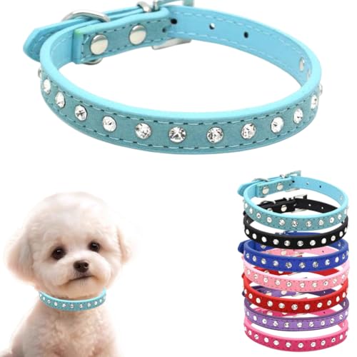Hundehalsband, für kleine Hunde, Mädchen, Welpen, Kristall, schillernd, funkelnd, Strass, Katzenhalsband für kleine, mittelgroße und große Rassen, Kätzchen, Blau, Größe XXS Hundehalsband, für kleine Hunde, Mädchen, Welpen, Kristall, schillernd, funkelnd, Strass, Katzenhalsband für kleine, mittelgroße und große Rassen, Kätzchen, Blau, Größe XXS von cyhaen