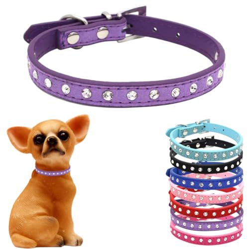 Hundehalsband für Mädchen, Welpen, Strass-Diamanten, Kristall, schillernd, funkelnd, glitzernd, für kleine, mittelgroße und große Rassen, Haustier, Mädchen, Kätzchen, Lila, XXS Hundehalsband für Mädchen, Welpen, Strass-Diamanten, Kristall, schillernd, funkelnd, glitzernd, für kleine, mittelgroße und große Rassen, Haustier, Mädchen, Kätzchen, Lila, XXS von cyhaen