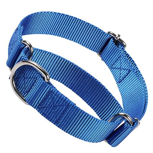 Hundehalsband für große Hunde, weiches Nylon, Martingal-Halsband für Hunde, Training, strapazierfähig, kein Ziehen, ausbruchsicher, rutschfest, für kleine, mittelgroße und große Haustiere, Jungen Hundehalsband für große Hunde, weiches Nylon, Martingal-Halsband für Hunde, Training, strapazierfähig, kein Ziehen, ausbruchsicher, rutschfest, für kleine, mittelgroße und große Haustiere, Jungen von cyhaen