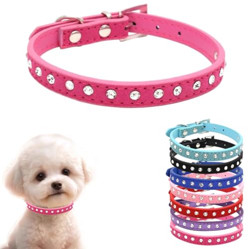 Hundehalsband für mittelgroße Hunde, Strass-Diamanten, für Mädchen, Kristalle, schillernd, funkelnd, glitzernd, glitzernd, Katzenhalsband für XXS, XS, kleine, mittelgroße und große Rassen, Haustier, Hundehalsband für mittelgroße Hunde, Strass-Diamanten, für Mädchen, Kristalle, schillernd, funkelnd, glitzernd, glitzernd, Katzenhalsband für XXS, XS, kleine, mittelgroße und große Rassen, Haustier, von cyhaen