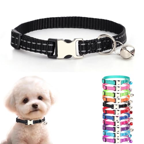 Hundehalsband mit Glöckchen, reflektierendes Nylon, Metallschnalle, Größe XS, für Welpen, Welpen, Welpen, Welpen, Welpen, Welpen, Welpen, Welpen, Welpen, Welpen, Welpen, Welpen, Welpen, Welpen, Hundehalsband mit Glöckchen, reflektierendes Nylon, Metallschnalle, Größe XS, für Welpen, Welpen, Welpen, Welpen, Welpen, Welpen, Welpen, Welpen, Welpen, Welpen, Welpen, Welpen, Welpen, Welpen, von cyhaen