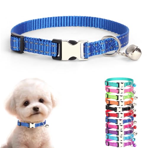 Hundehalsband mit Glöckchen, reflektierendes Nylon, XS, Katzenhalsband, weich, verstellbare Schnalle, für XS, kleine Welpen, weibliche kleine Haustiere, Hunde, Jungen, Mädchen, Kätzchen, Yorkie, Größe Hundehalsband mit Glöckchen, reflektierendes Nylon, XS, Katzenhalsband, weich, verstellbare Schnalle, für XS, kleine Welpen, weibliche kleine Haustiere, Hunde, Jungen, Mädchen, Kätzchen, Yorkie, Größe von cyhaen