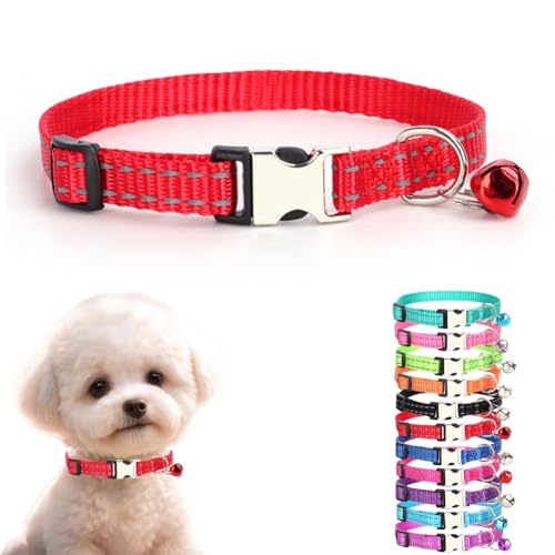 Hundehalsband mit Glöckchen, reflektierendes Nylon, XS, weich, verstellbare Schnalle, für XXS, XS, kleine Hunde, kleine Hunde, kleine Haustiere, Katzen, Jungen, Mädchen, Kätzchen, Yorkie, Chihuahua, Hundehalsband mit Glöckchen, reflektierendes Nylon, XS, weich, verstellbare Schnalle, für XXS, XS, kleine Hunde, kleine Hunde, kleine Haustiere, Katzen, Jungen, Mädchen, Kätzchen, Yorkie, Chihuahua, von cyhaen