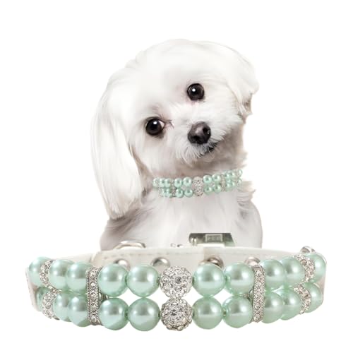 Hundehalsband mit Perlen, glitzernd, für kleine Hunde, Kätzchen, Halskette, Katzenhalsband, Strass, luxuriöses Perlenhalsband, für Jungen, für XXS, XS, S, M, Haustier, XXS Hundehalsband mit Perlen, glitzernd, für kleine Hunde, Kätzchen, Halskette, Katzenhalsband, Strass, luxuriöses Perlenhalsband, für Jungen, für XXS, XS, S, M, Haustier, XXS von cyhaen