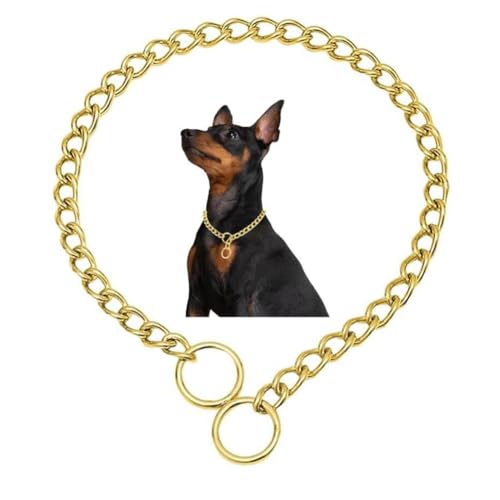 Kettenhalsbänder für große Hunde, schwere Kette, Metall-Trainingshalsbänder, verstellbare Metallkette, Martingal-Welpenhalsbänder für XXS, XS, S, M, L, XL, Silber, L Kettenhalsbänder für große Hunde, schwere Kette, Metall-Trainingshalsbänder, verstellbare Metallkette, Martingal-Welpenhalsbänder für XXS, XS, S, M, L, XL, Silber, L von cyhaen