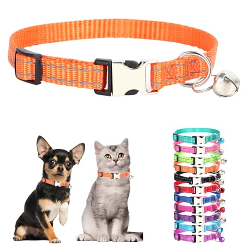 Kleines Hundehalsband mit Glöckchen, Nylon-Metallschnalle, reflektierend, XS, Welpenhalsbänder für kleine Haustiere, männliche Hunde, Katzen, Mädchen, Kätzchen, Kleintiere, Orange, XS Kleines Hundehalsband mit Glöckchen, Nylon-Metallschnalle, reflektierend, XS, Welpenhalsbänder für kleine Haustiere, männliche Hunde, Katzen, Mädchen, Kätzchen, Kleintiere, Orange, XS von cyhaen