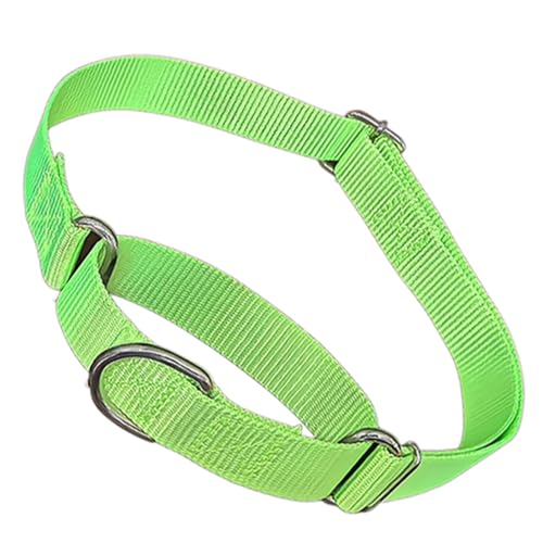 Martingale-Halsband für Hunde, Grün, Größe S Martingale-Halsband für Hunde, Grün, Größe S von cyhaen