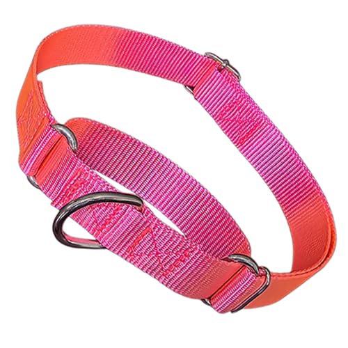 Martingale-Halsband für Hunde, Hot Pink, Größe S Martingale-Halsband für Hunde, Hot Pink, Größe S von cyhaen