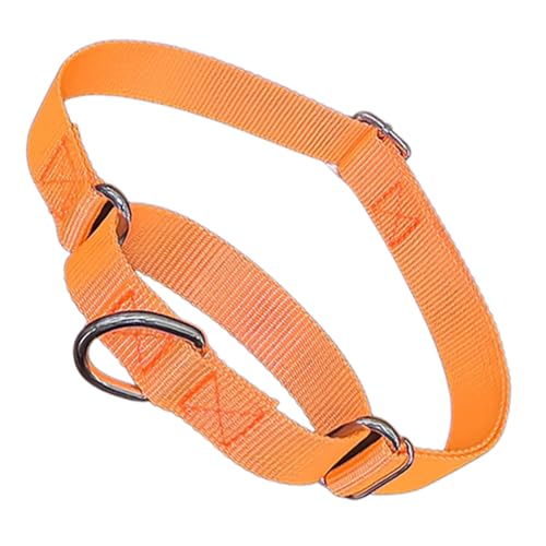 Martingale Halsband für Hunde, Orange, Größe S Martingale Halsband für Hunde, Orange, Größe S von cyhaen
