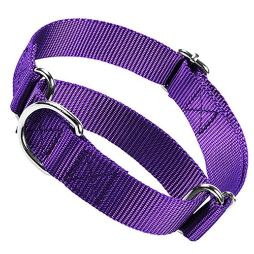 Martingale Halsband für Hunde, weiches Nylon, Halsband für Hunde, Training, ausbruchsicher, strapazierfähig, kein Ziehen, verstellbar, für kleine, mittelgroße und große Haustiere, Jungen, Lila, Größe Martingale Halsband für Hunde, weiches Nylon, Halsband für Hunde, Training, ausbruchsicher, strapazierfähig, kein Ziehen, verstellbar, für kleine, mittelgroße und große Haustiere, Jungen, Lila, Größe von cyhaen