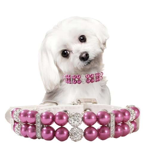 Purple Xs Hundehalsband für Mädchen, glitzerndes Hundehalsband für kleine Hunde, Katzen, Kätzchen, mit Perlen, Luxus-Perlen, Welpenhalsband für XXS, XS, S, M, Haustier, XXS Purple Xs Hundehalsband für Mädchen, glitzerndes Hundehalsband für kleine Hunde, Katzen, Kätzchen, mit Perlen, Luxus-Perlen, Welpenhalsband für XXS, XS, S, M, Haustier, XXS von cyhaen