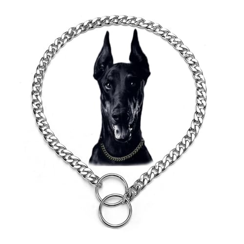 Silberfarbene Hundehalsbänder für kleine Hunde, robuste Hundekette, verstellbare Metall-Halskette, Martingal-Halsband für XS, Katzen, S, M, L, große Hunde, XS Silberfarbene Hundehalsbänder für kleine Hunde, robuste Hundekette, verstellbare Metall-Halskette, Martingal-Halsband für XS, Katzen, S, M, L, große Hunde, XS von cyhaen