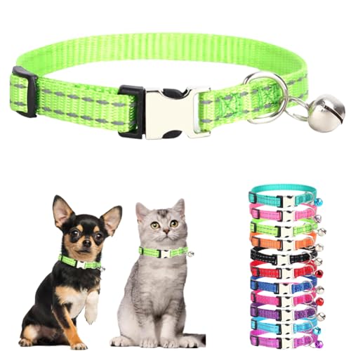 Welpenhalsband mit Glöckchen, reflektierendes Nylon, XS, weich, verstellbare Schnalle, für XXS, XS, kleine Welpen, weibliche kleine Haustiere, Hunde, Jungen, Mädchen, Kätzchen, Yorkie, Grün, XS Welpenhalsband mit Glöckchen, reflektierendes Nylon, XS, weich, verstellbare Schnalle, für XXS, XS, kleine Welpen, weibliche kleine Haustiere, Hunde, Jungen, Mädchen, Kätzchen, Yorkie, Grün, XS von cyhaen