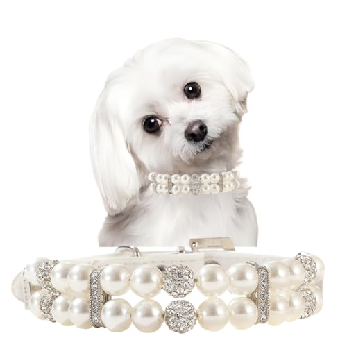 White Pearl Hundehalsband, glitzernde Perle, ausgefallene Hunde-Kolalr für Hündinnen, für XXS, XS, S, M, Haustier, Katze, Kätzchen, Mädchen, XXS White Pearl Hundehalsband, glitzernde Perle, ausgefallene Hunde-Kolalr für Hündinnen, für XXS, XS, S, M, Haustier, Katze, Kätzchen, Mädchen, XXS von cyhaen