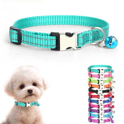 XXS Hundehalsbänder mit Glöckchen, reflektierendes Nylon, Metallschnalle, XS, Katzenhalsbänder mit Glöckchen für kleine Haustiere, Welpen, männliche Hunde, Jungen, Kätzchen, Tiere, Blaugrün, XS XXS Hundehalsbänder mit Glöckchen, reflektierendes Nylon, Metallschnalle, XS, Katzenhalsbänder mit Glöckchen für kleine Haustiere, Welpen, männliche Hunde, Jungen, Kätzchen, Tiere, Blaugrün, XS von cyhaen