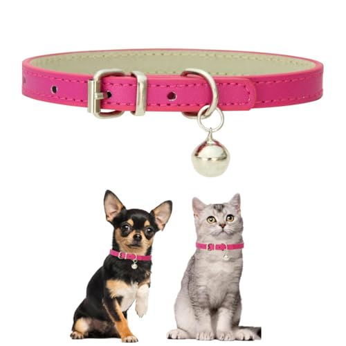 Xs Hundehalsband mit Glöckchen, Kunstleder, Katzenhalsband mit Glöckchen, PU, Basic-Mädchen-Hundehalsband für XXS, XS, S, M, Hündinnen, kleines Kätzchen, kleine Tiere, Größe XS Xs Hundehalsband mit Glöckchen, Kunstleder, Katzenhalsband mit Glöckchen, PU, Basic-Mädchen-Hundehalsband für XXS, XS, S, M, Hündinnen, kleines Kätzchen, kleine Tiere, Größe XS von cyhaen