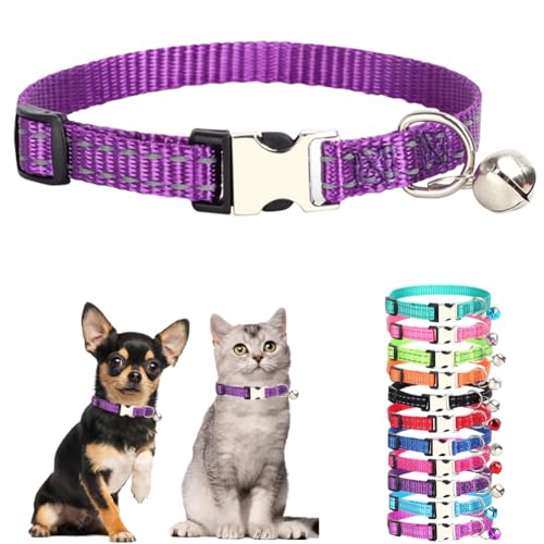 Xs Hundehalsband mit Glöckchen, reflektierendes Nylon, Metallschnalle, Größe XS, Welpenhalsbänder für Welpen, Haustiere, Katzen, Kätzchen, Kleintiere, Dunkelviolett, Größe XS Xs Hundehalsband mit Glöckchen, reflektierendes Nylon, Metallschnalle, Größe XS, Welpenhalsbänder für Welpen, Haustiere, Katzen, Kätzchen, Kleintiere, Dunkelviolett, Größe XS von cyhaen