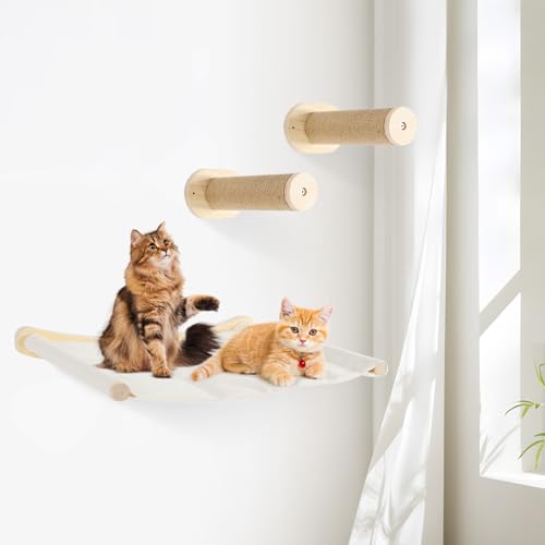 czyuRachel Katzenkletterwand Set, Katzentreppe Wand mit 2 Kratzbäumen, Hängematte und Basis für Katze Klettern und Erkunden, Holzfarbe czyuRachel Katzenkletterwand Set, Katzentreppe Wand mit 2 Kratzbäumen, Hängematte und Basis für Katze Klettern und Erkunden, Holzfarbe von czyuRachel