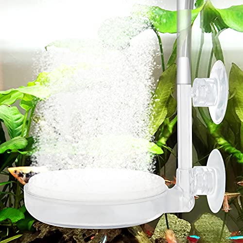 dafuhao Aquarium Bubble Stone,Nano Bubble Stone Aquarium Luftstein Leise mit Saugnapf,Aquarium Oxygen Stein mit Steuerventil für Teiche Aquarien Fisch Tank Hydroponic dafuhao Aquarium Bubble Stone,Nano Bubble Stone Aquarium Luftstein Leise mit Saugnapf,Aquarium Oxygen Stein mit Steuerventil für Teiche Aquarien Fisch Tank Hydroponic von dafuhao